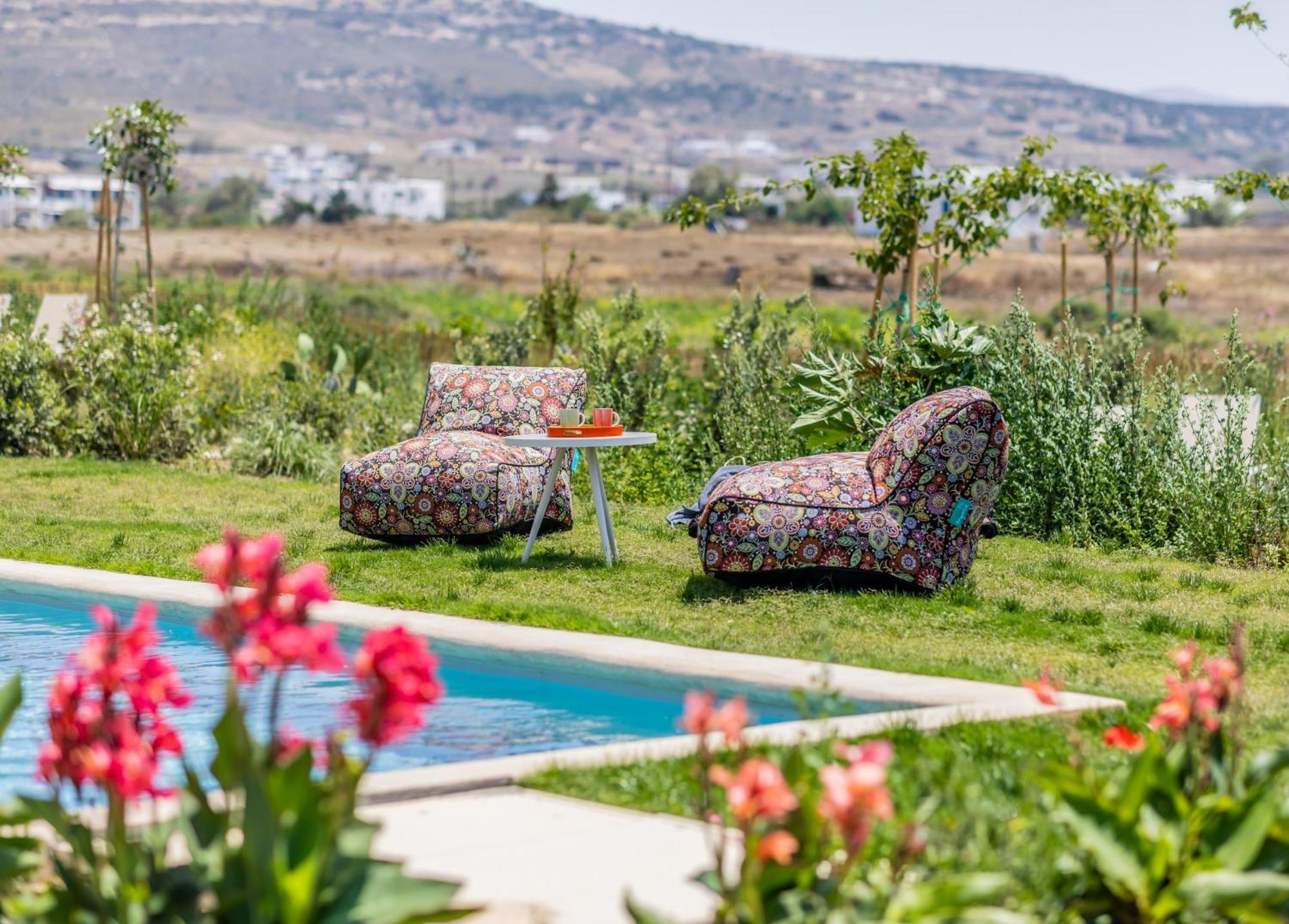 Plioni Villas & Suites Мікрі-Віґла Екстер'єр фото