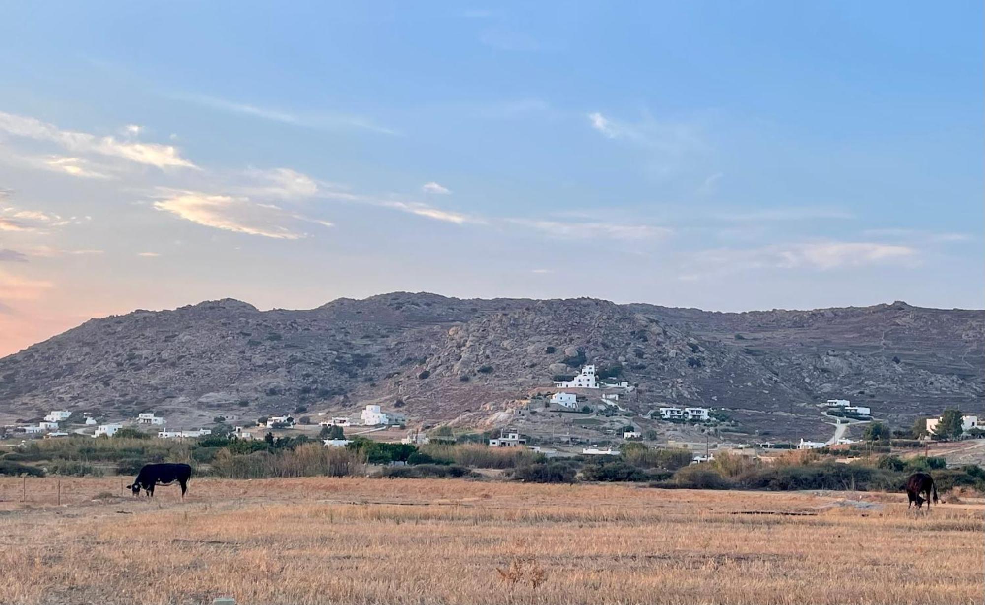 Plioni Villas & Suites Мікрі-Віґла Номер фото